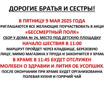 Бессмертный полк в д. Чудиново